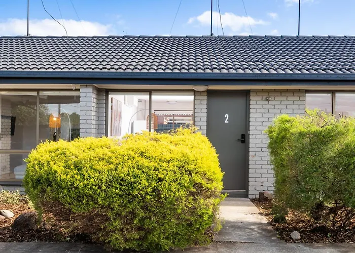 Wilson Executive By Geelong Short & Long Stays